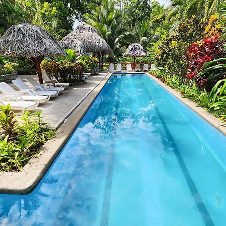 Bluff Beach Retreat Bocas del Toro Exteriér fotografie