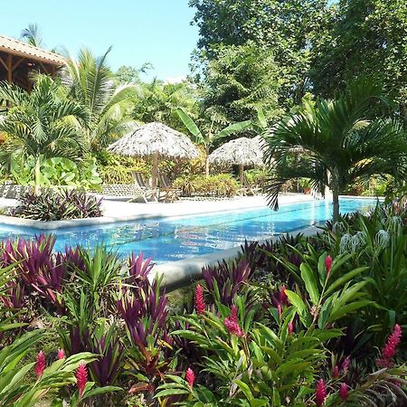 Bluff Beach Retreat Bocas del Toro Exteriér fotografie