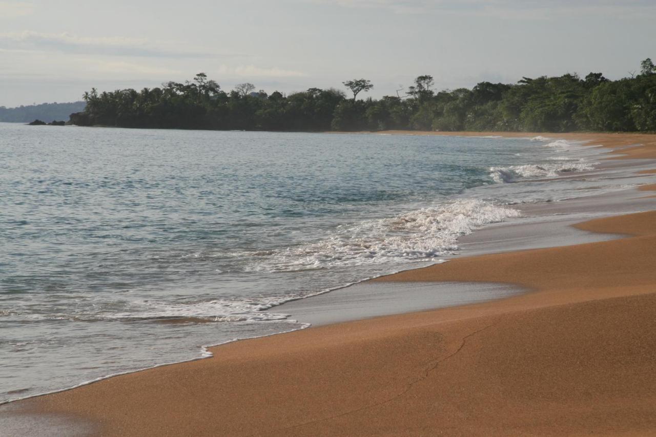 Bluff Beach Retreat Bocas del Toro Exteriér fotografie