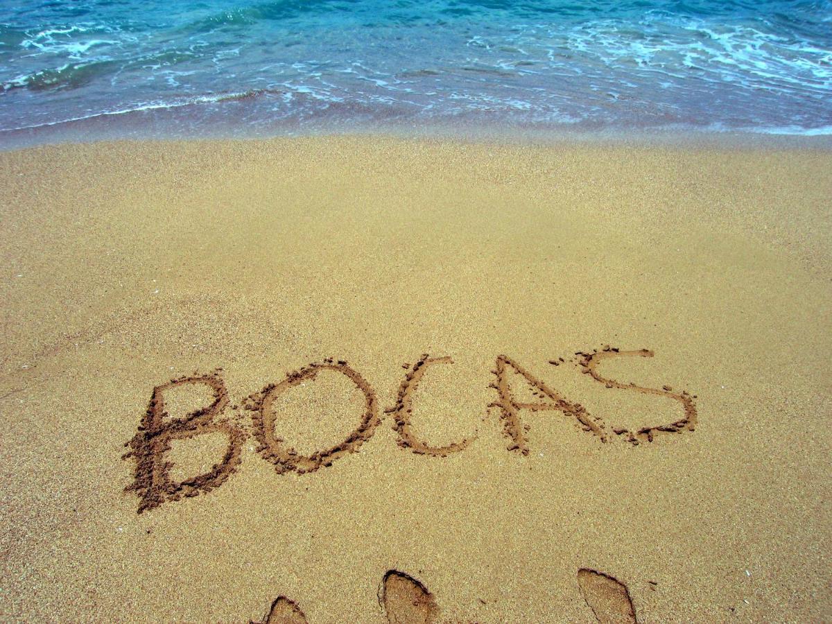 Bluff Beach Retreat Bocas del Toro Exteriér fotografie