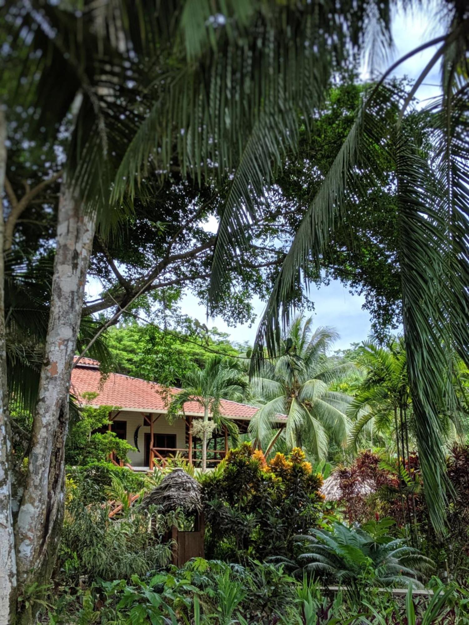 Bluff Beach Retreat Bocas del Toro Exteriér fotografie
