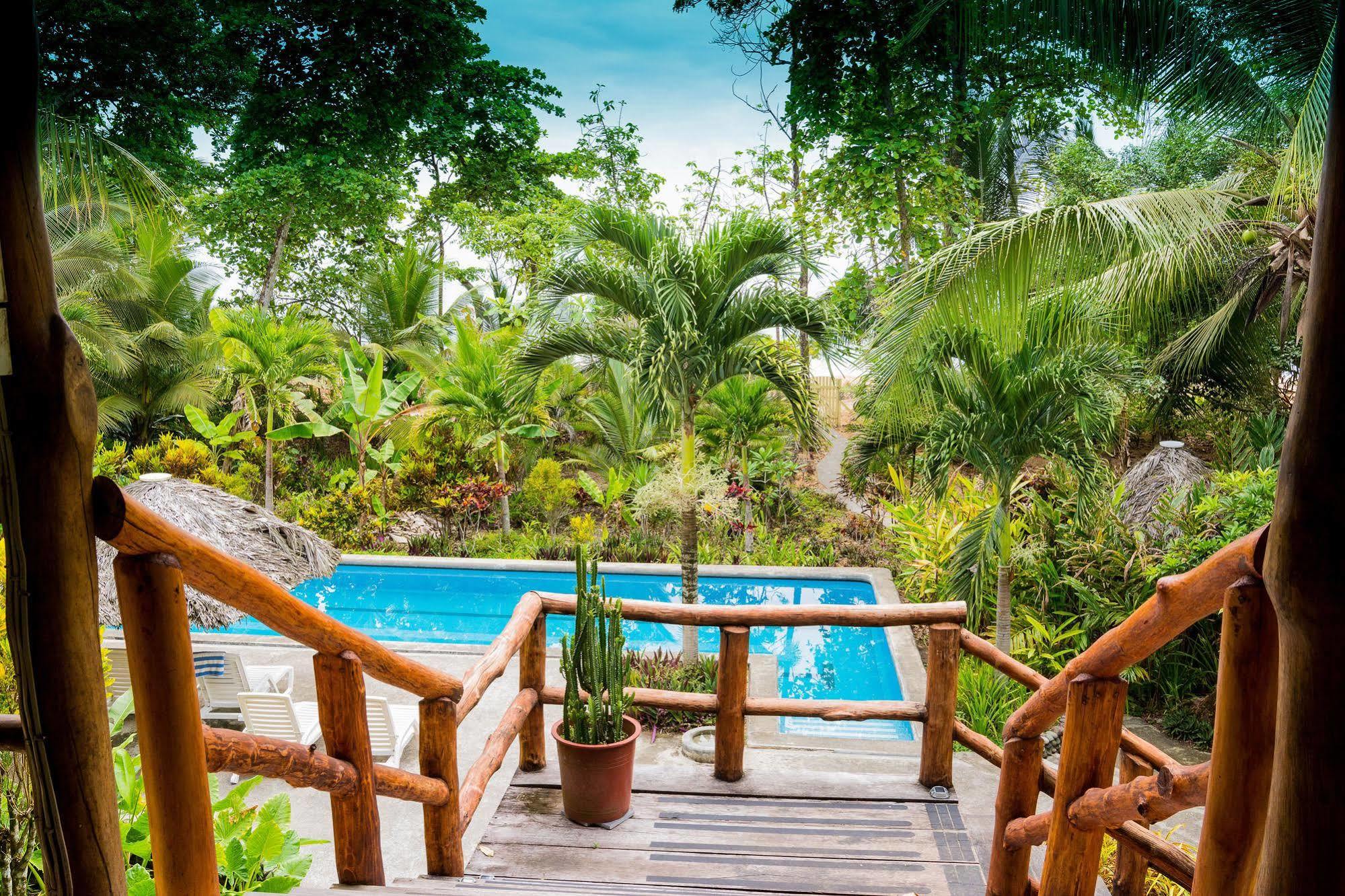 Bluff Beach Retreat Bocas del Toro Exteriér fotografie