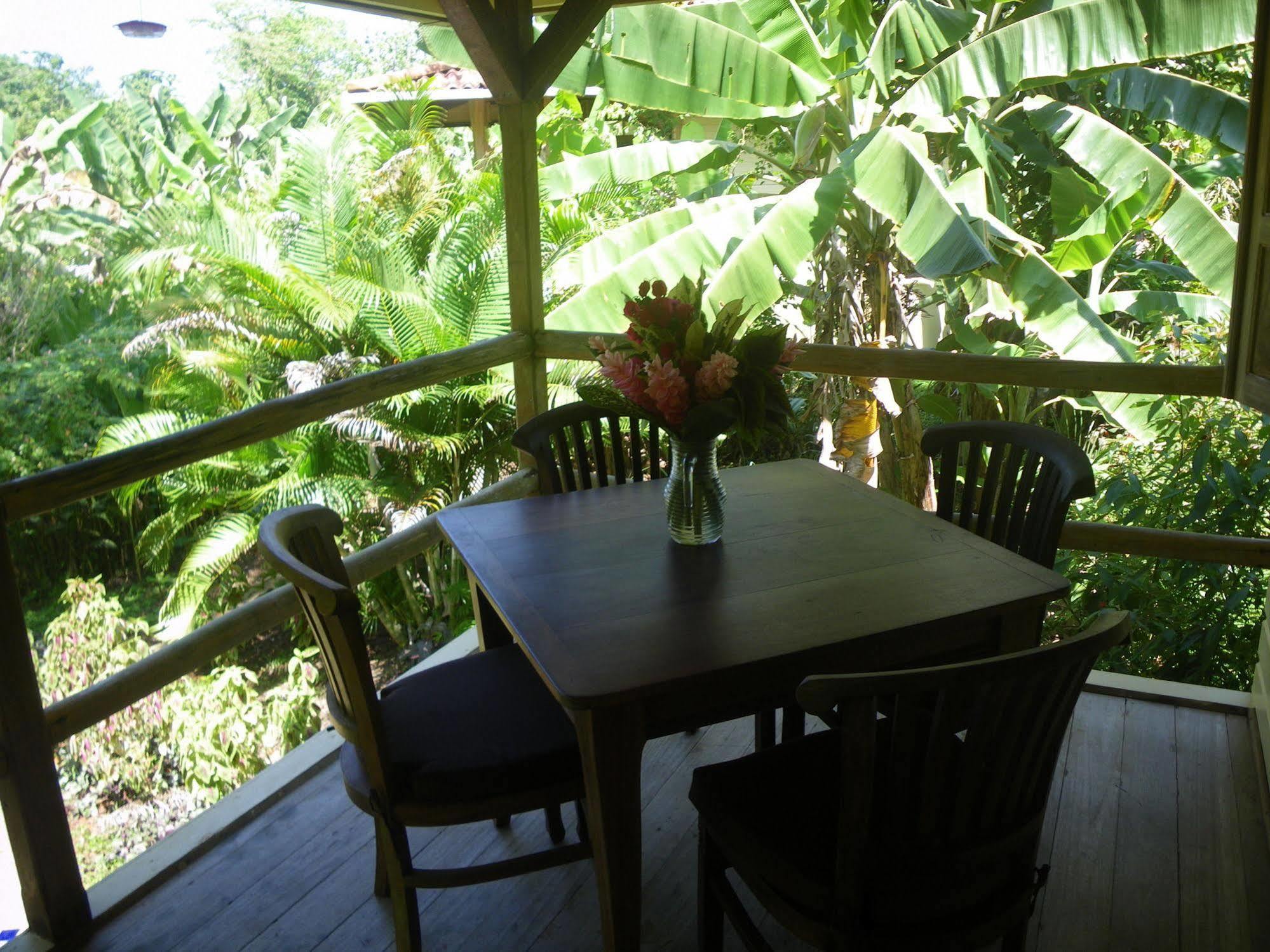 Bluff Beach Retreat Bocas del Toro Exteriér fotografie