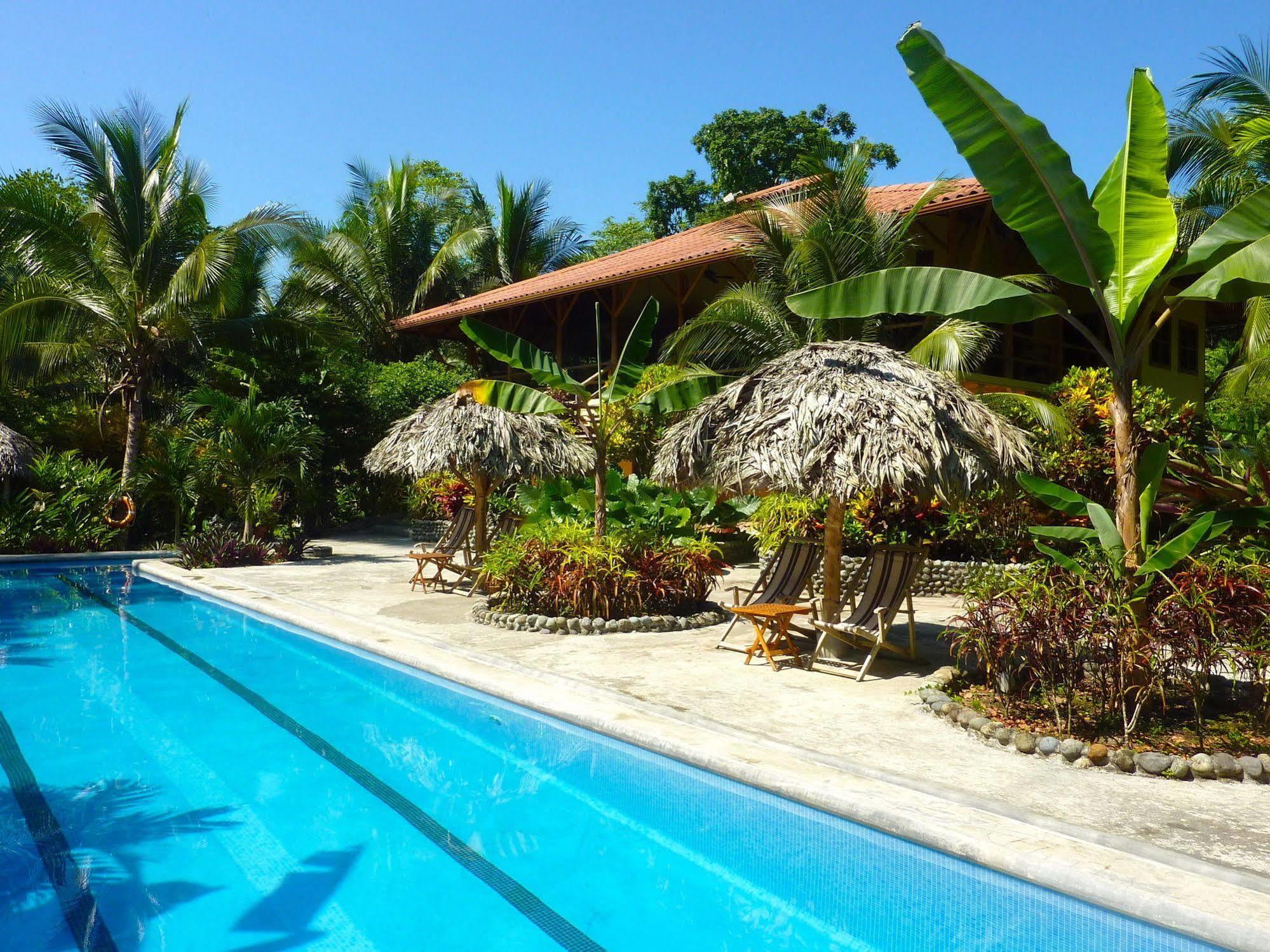 Bluff Beach Retreat Bocas del Toro Exteriér fotografie