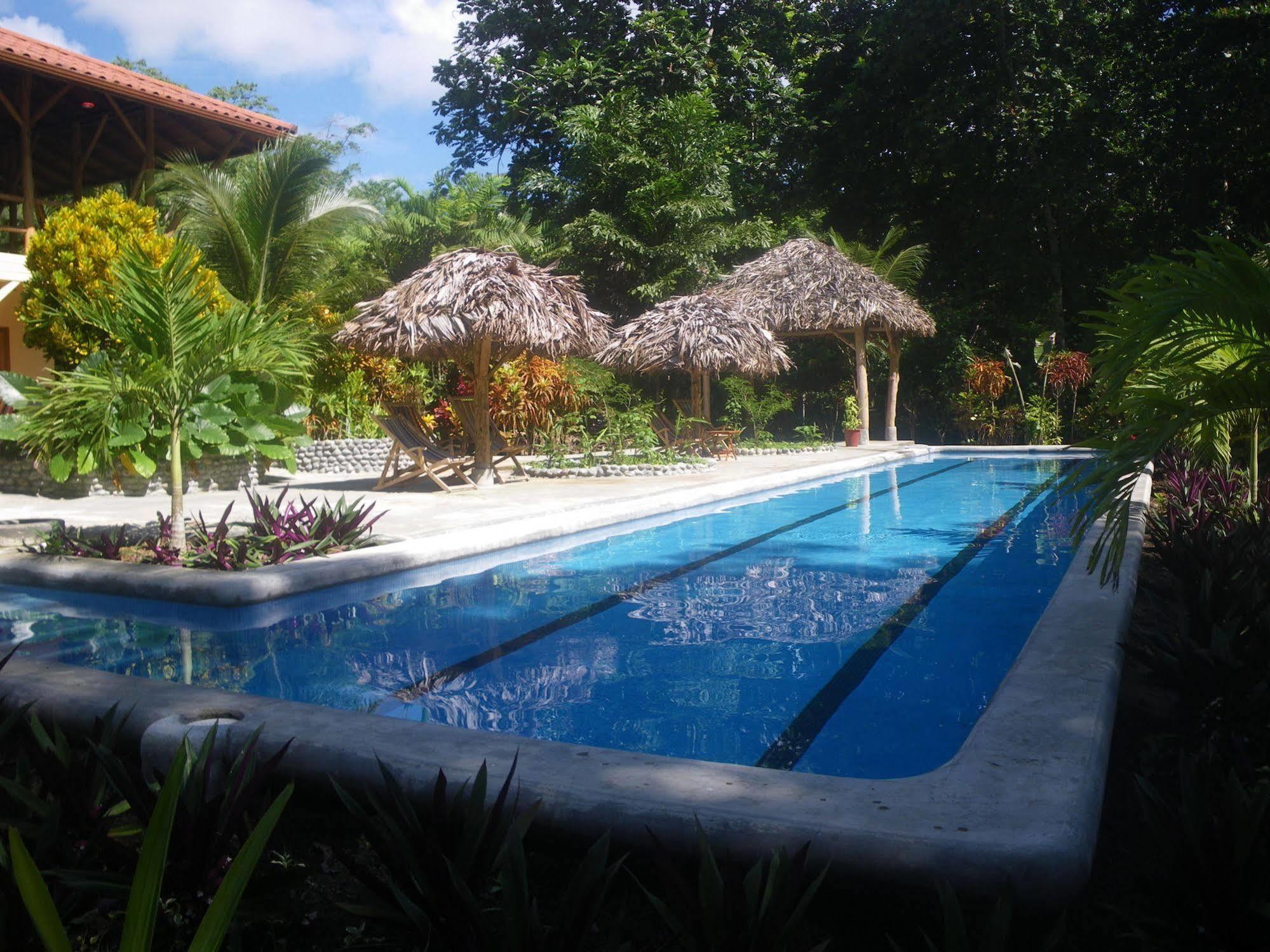 Bluff Beach Retreat Bocas del Toro Exteriér fotografie
