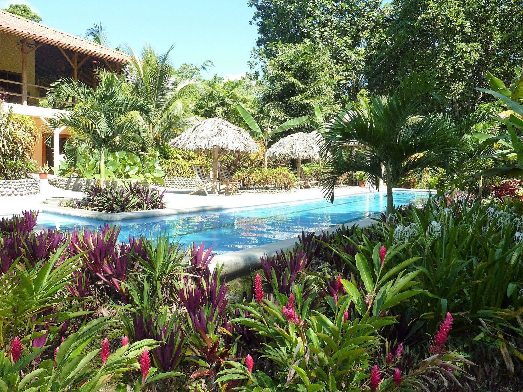 Bluff Beach Retreat Bocas del Toro Exteriér fotografie