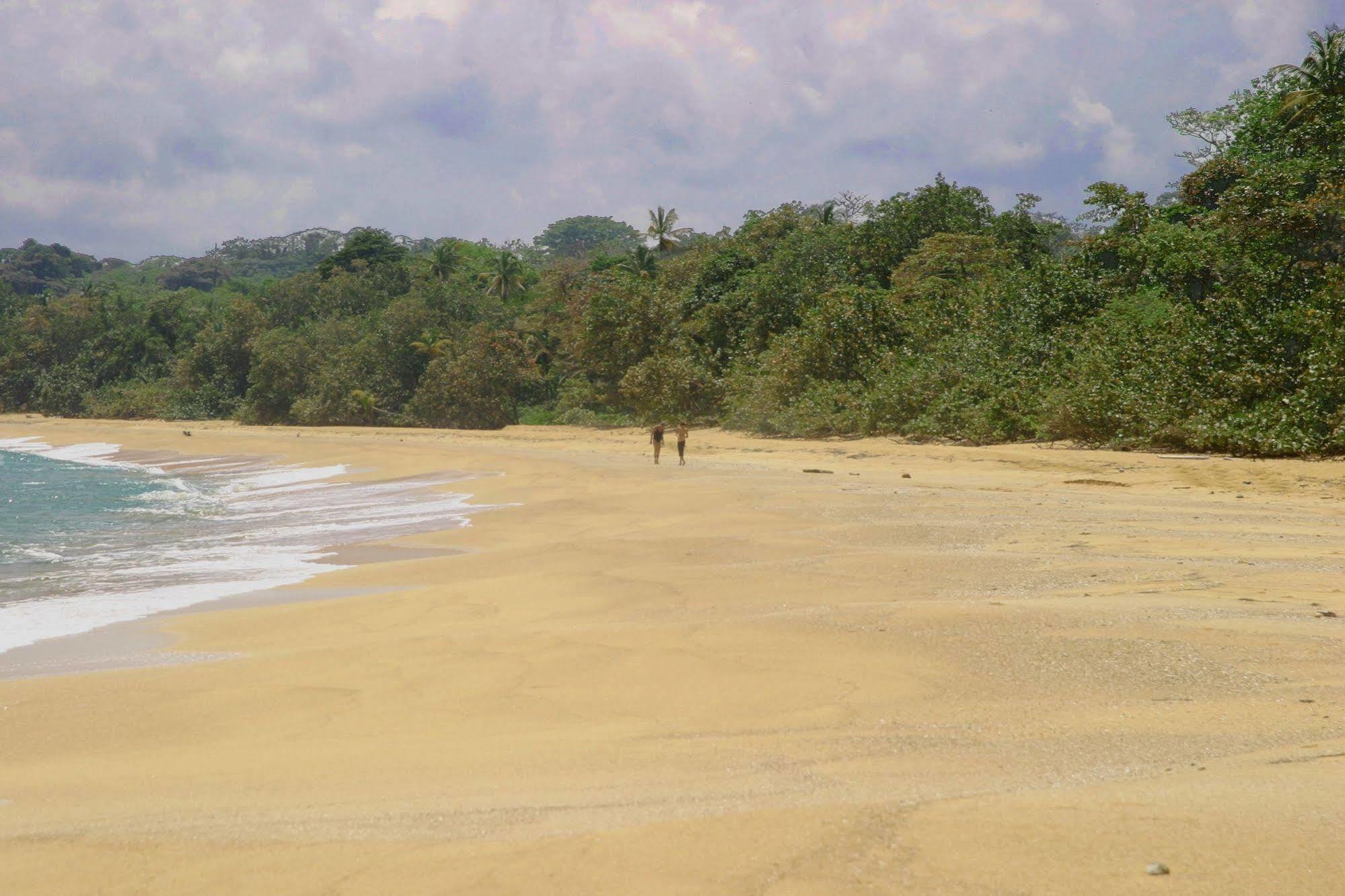 Bluff Beach Retreat Bocas del Toro Exteriér fotografie