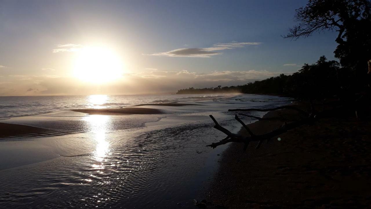 Bluff Beach Retreat Bocas del Toro Exteriér fotografie